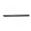 Moulure baguette latérale sur porte arrière gauche pour RENAULT KANGOO II phase 1, 2008-2013, Noire, Neuve
