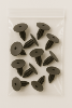 Sachet de 10 Agrafes - Clips de garnissage  10,2 -> 10,7 mm carter d'aile & pare-boue pour DACIA, FIAT, NISSAN, OPEL, RENAULT, SMART, Neuf