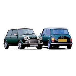 AUSTIN/MINI du 10/1981 au 05/1993