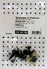 Kit de fixation assemblage pare chocs arrire pour RENAULT TWINGO II  - 2007  2014 Tous modles Neuf
