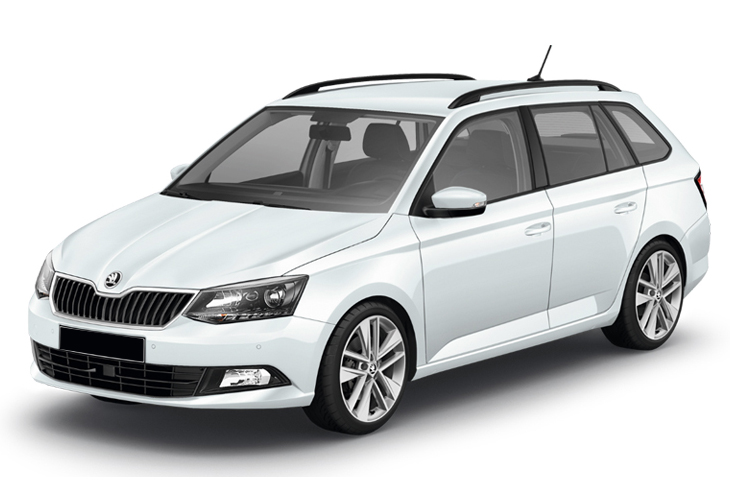 Pi�ces de carrosserie pour SKODA FABIA II phase 2 2010 2011 2012 2013 2014