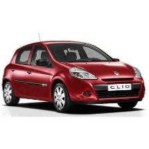 Pièces Carrosserie RENAULT CLIO 3 2009 - 2012