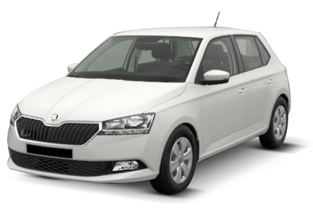 Pices de carrosserie pour SKODA FABIA III phase 2 2018 2019 2020 2021