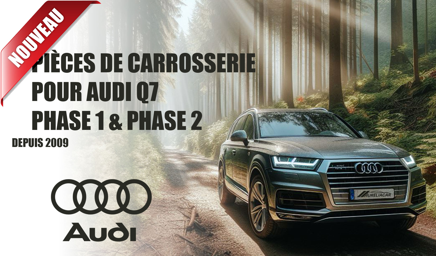 Pieces Audi Q7